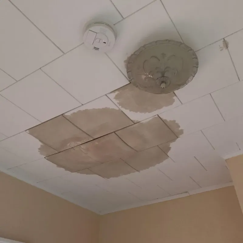 Ceiling Water Damage Repair in Belville, NC