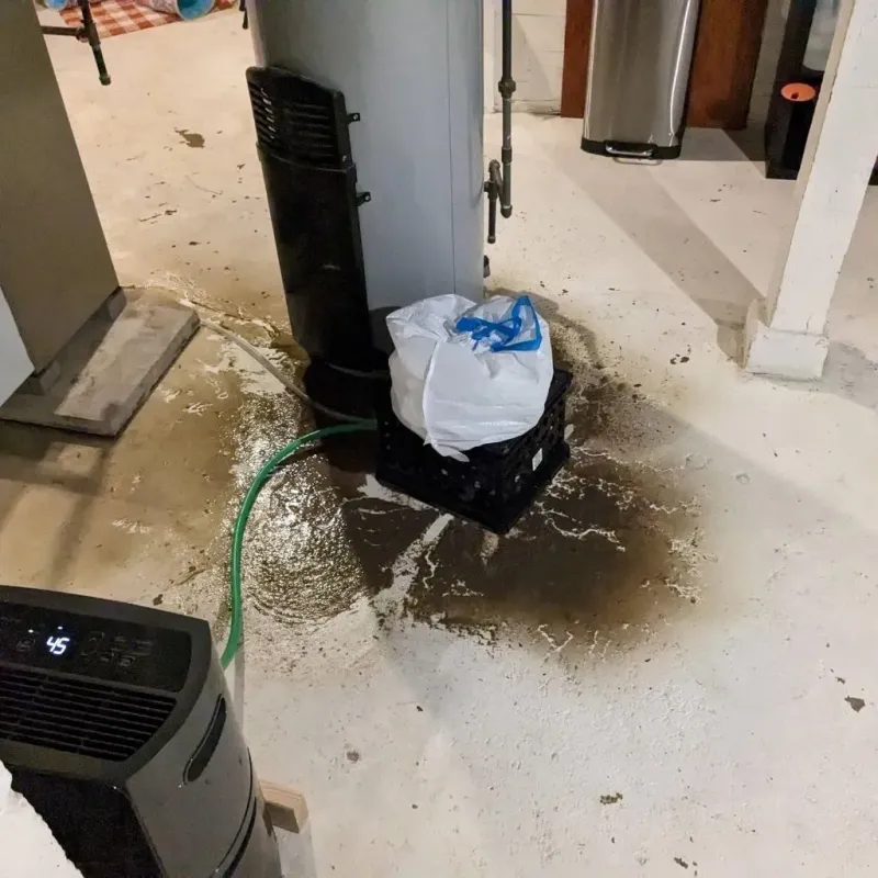 Sewage Backup Cleanup Service in Belville, NC